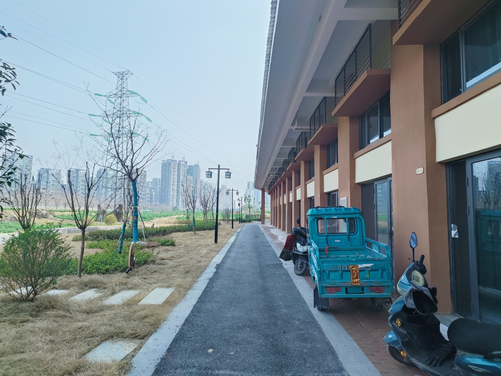 新城悦府三期旁花鸟鱼虫市场商铺_6