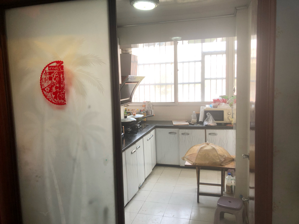 现代花园_5