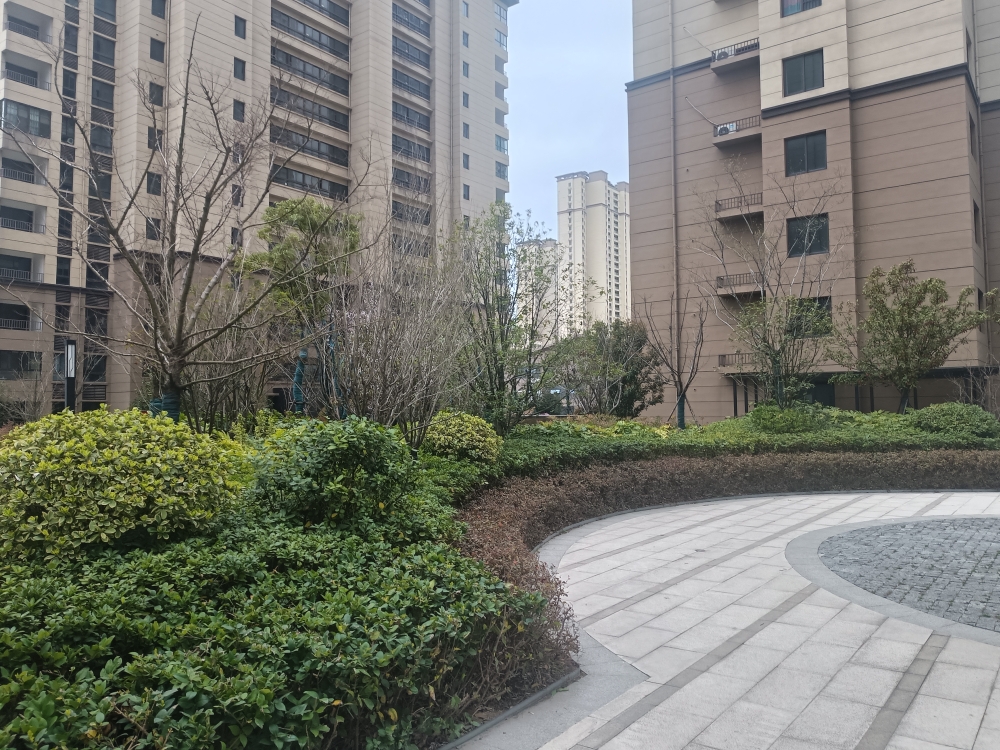 文一千树湾三室两厅毛坯_10