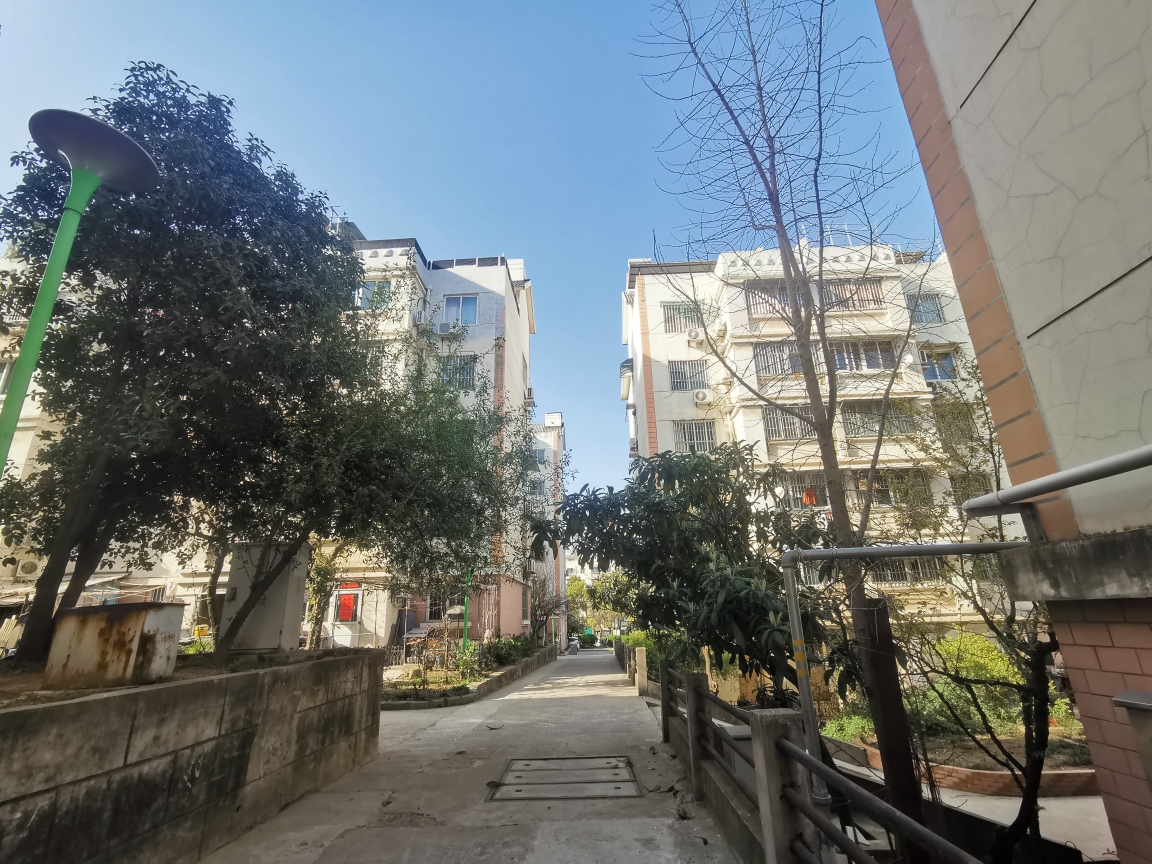 出售建西村  75平方  6幺7  简装  2室1厅  地势好  环境好  采光好_20