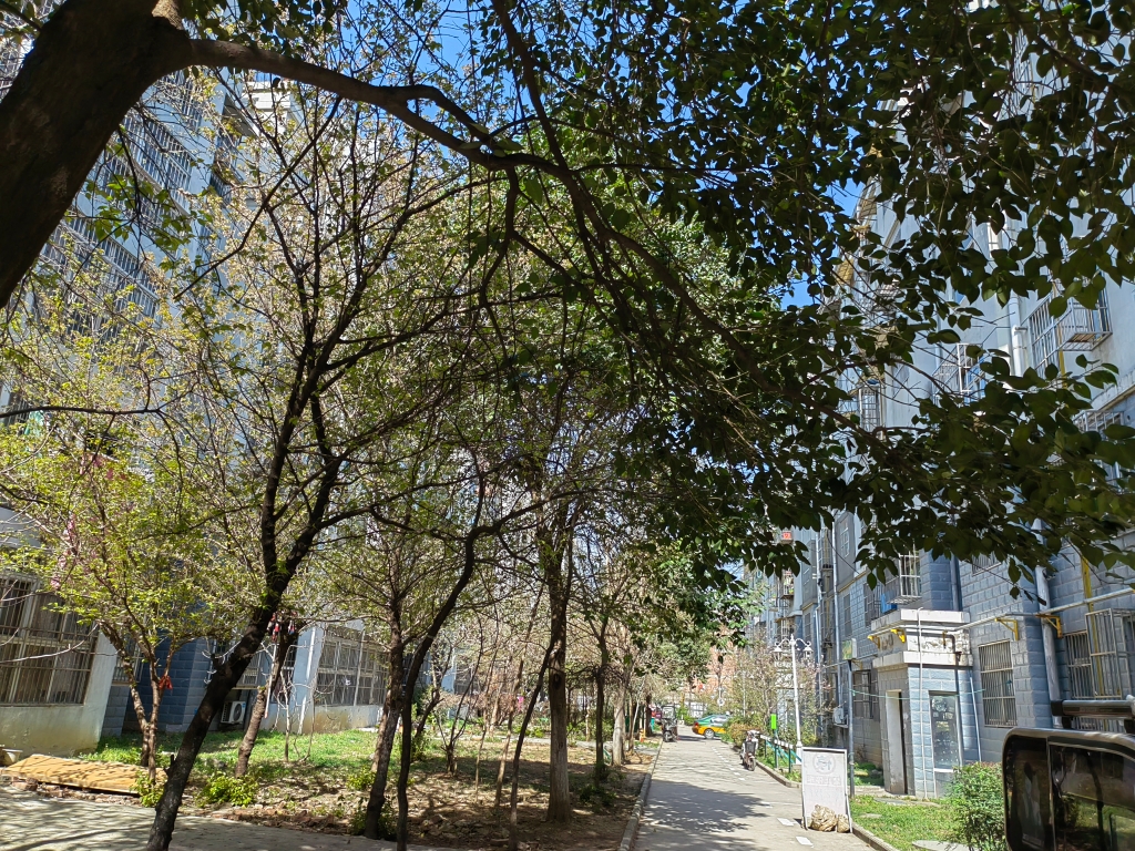 谢三村南区3室厅精装谢四小学区_15