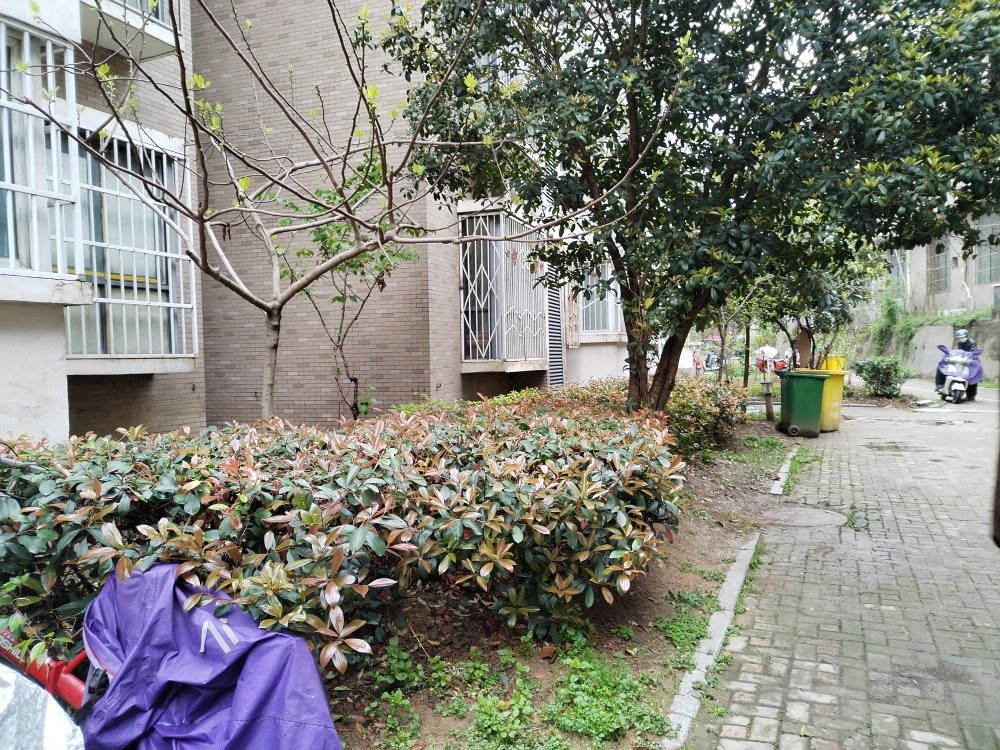 滨河湾南区125平方3室毛坯出售_10