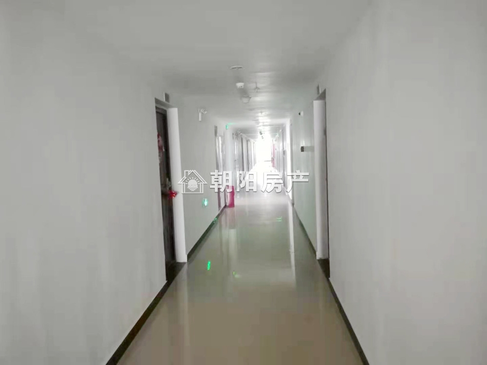 英伦联邦   1室1厅  精装修  急租  _12