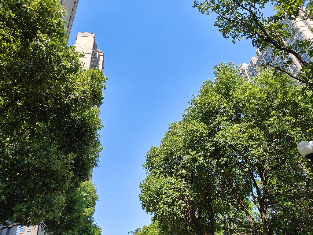恒大绿洲2室毛坯吉房出售学区未用_10