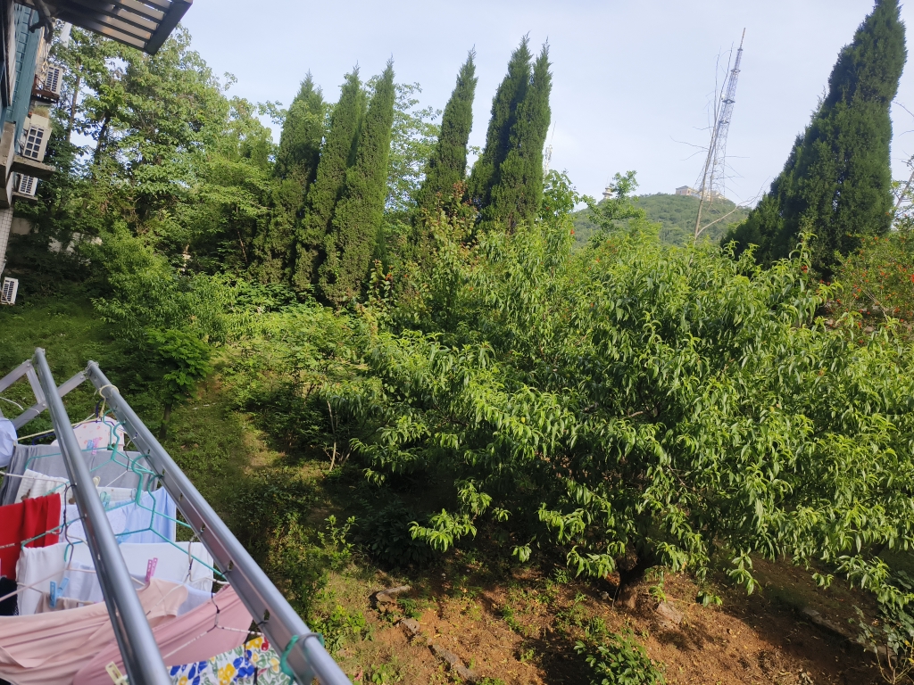 南山村C2 141平 南向四室两卫 满两年 精装带阳台_15