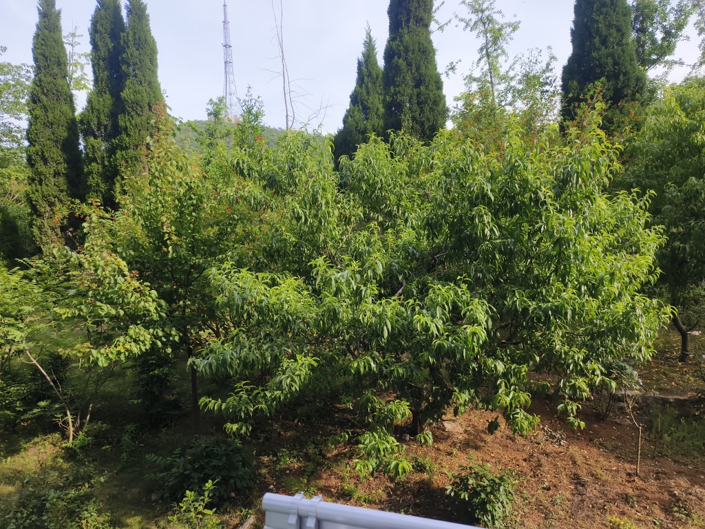 南山村C2 141平 南向四室两卫 满两年 精装带阳台_14