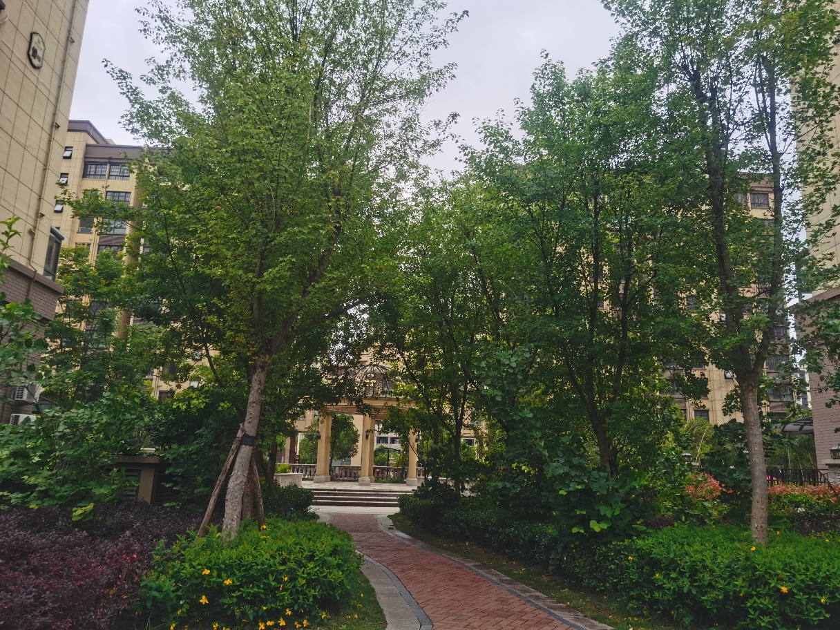 状元学府 65平 南向两室 学区房 交通便利_12