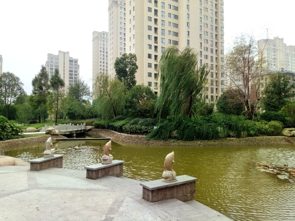 老客户_10