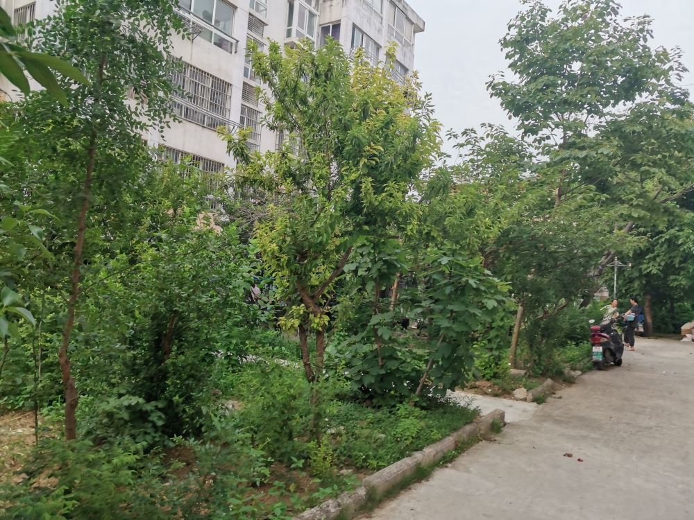 选煤村 81平 南向三室一厅 交通便利 环境好_20