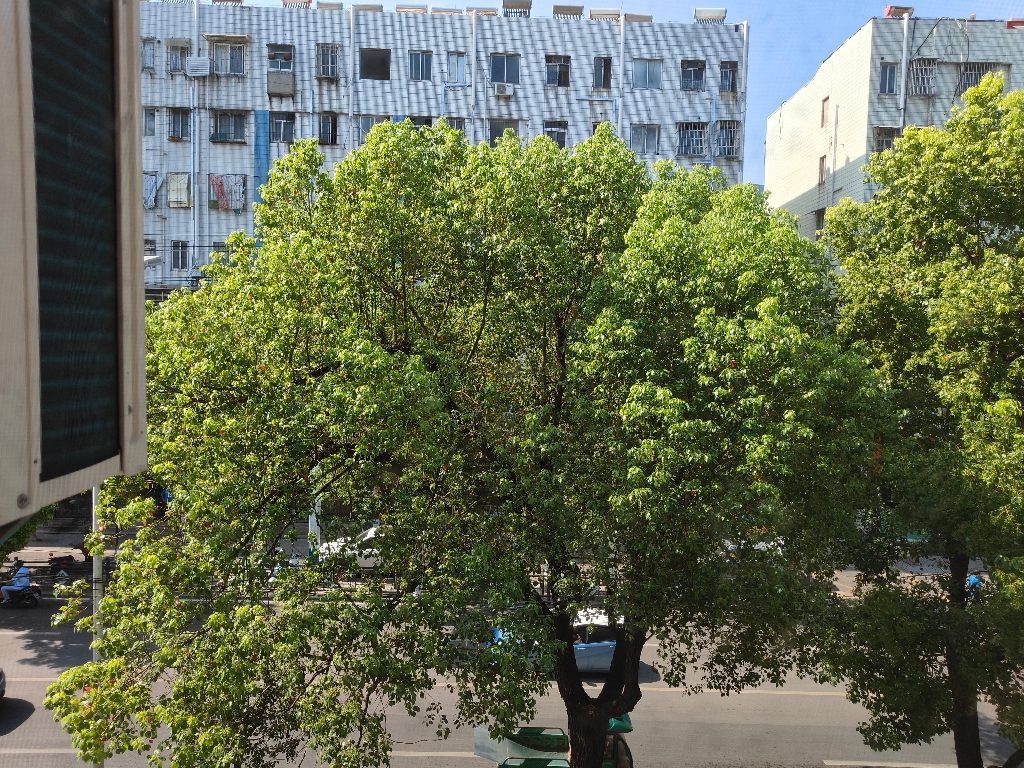 园新大院，简装 三室两厅 出售 淮师附小本部 ，_8