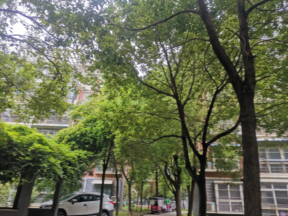 出售  新风苑二期  120平方  五层  简装  三室两厅  学区房  交通便利_19