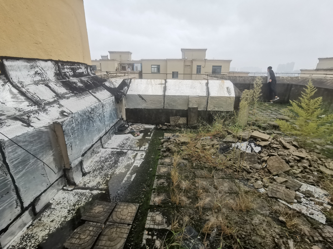 出售  瓷器新村  约110平方  毛坯  电梯房  三室一厅  采光好  地势好  环境好_17