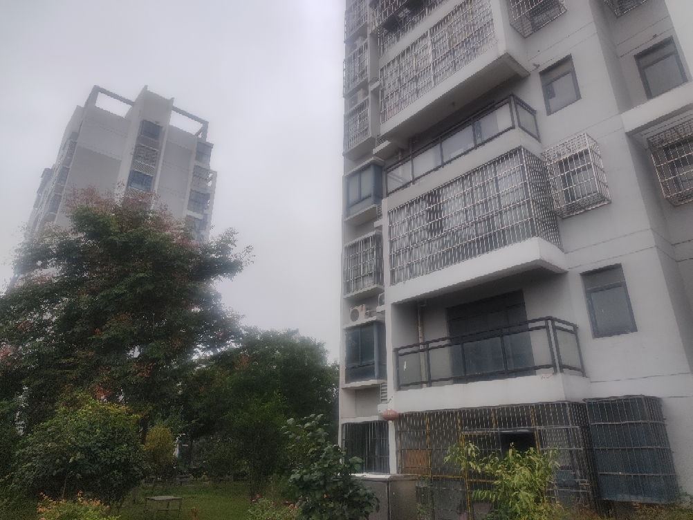 谢家集新村D区 电梯房三室两厅毛坯_12