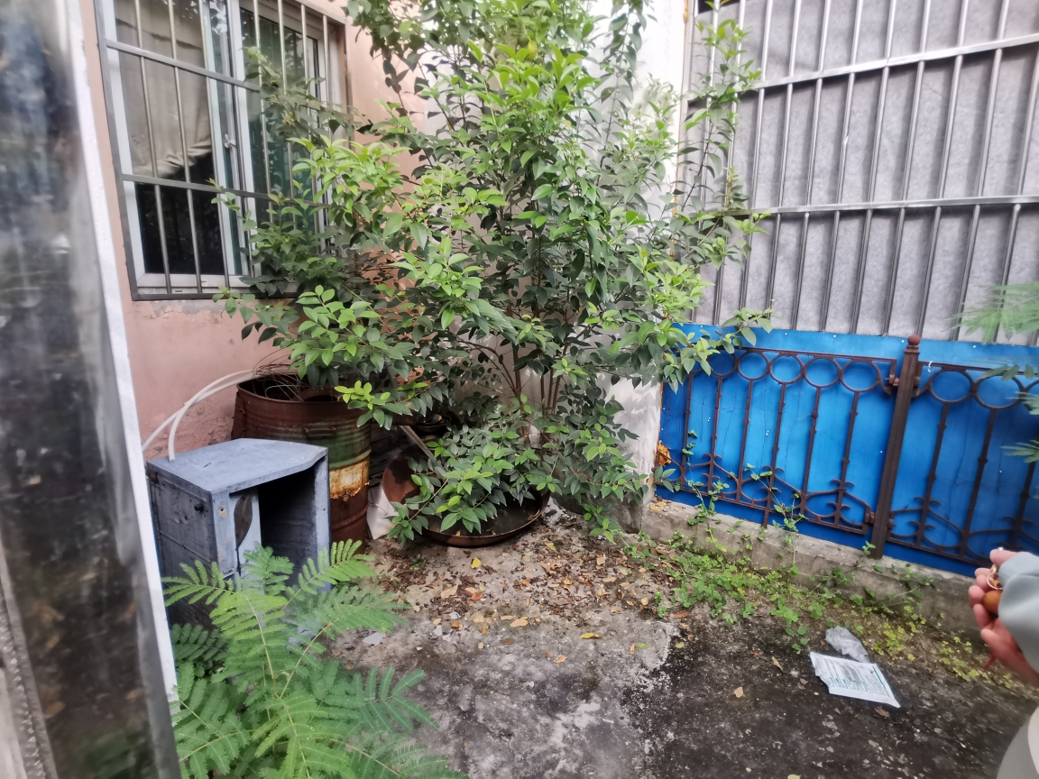 谢家集区望峰岗选煤村，，英才小学，面积91.45,3室2厅1卫1厨，一层带个大院子大约100平方，简装门口地方大，楼东头是幼儿园，西头英才小学，小区环境好，适合养老，交通方便_28