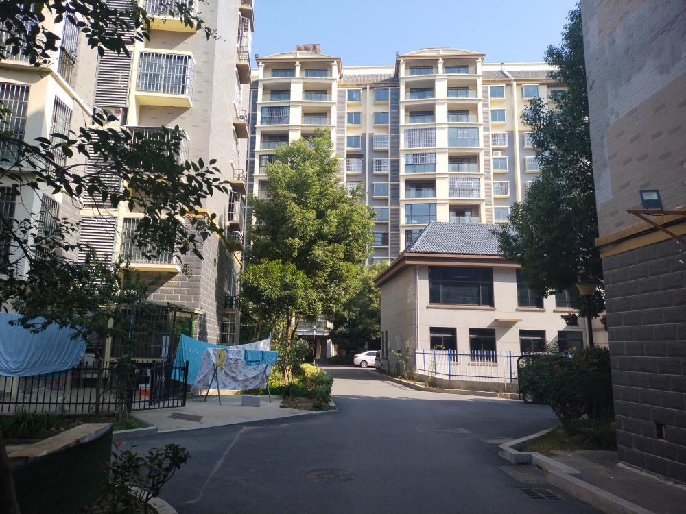 两室两厅_9