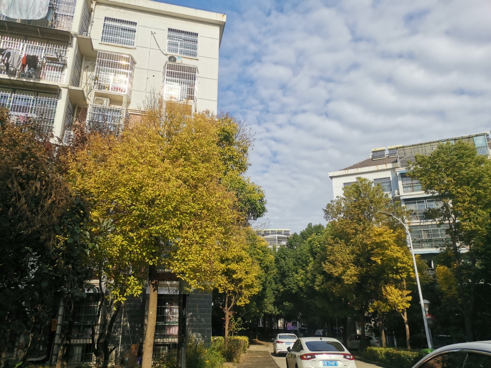 出售  新风苑三期  91平方  简装  2室2厅  一层  养老房  交通便利  学区房_13