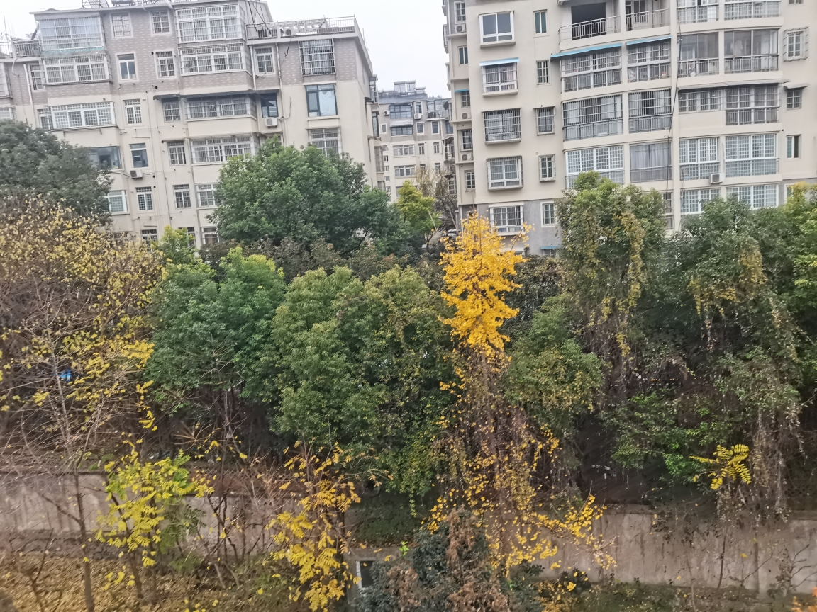 龙眼村简单装修2室2厅学区房交通方便配套齐全_10