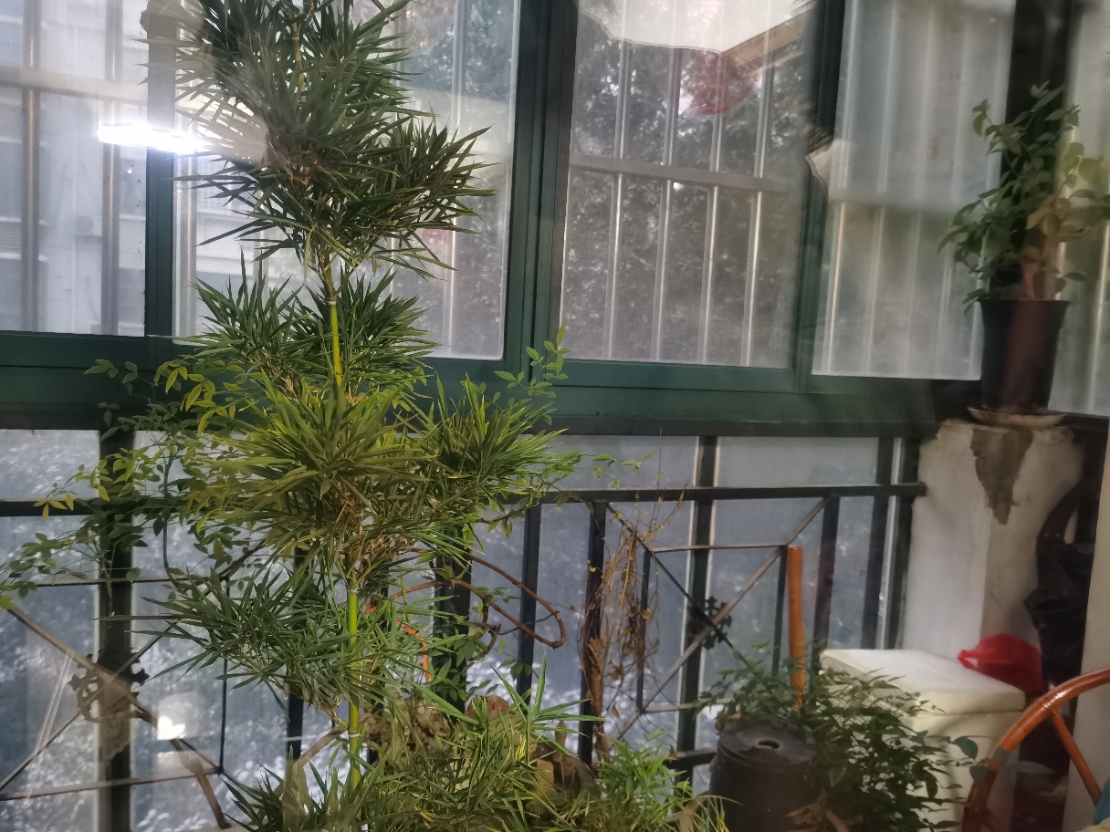 精装修，拎包入住，房型正，采光好，两室两厅_7