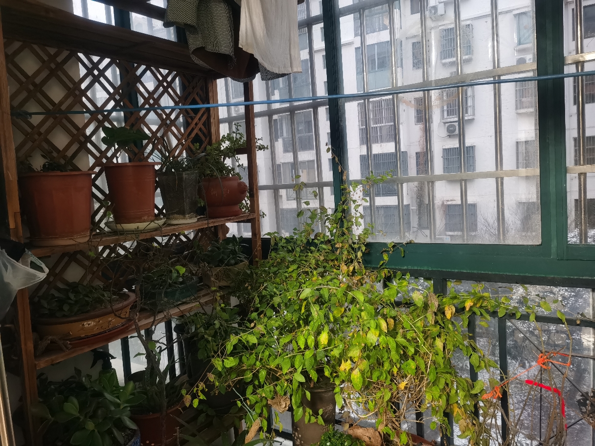 精装修，拎包入住，房型正，采光好，两室两厅_8