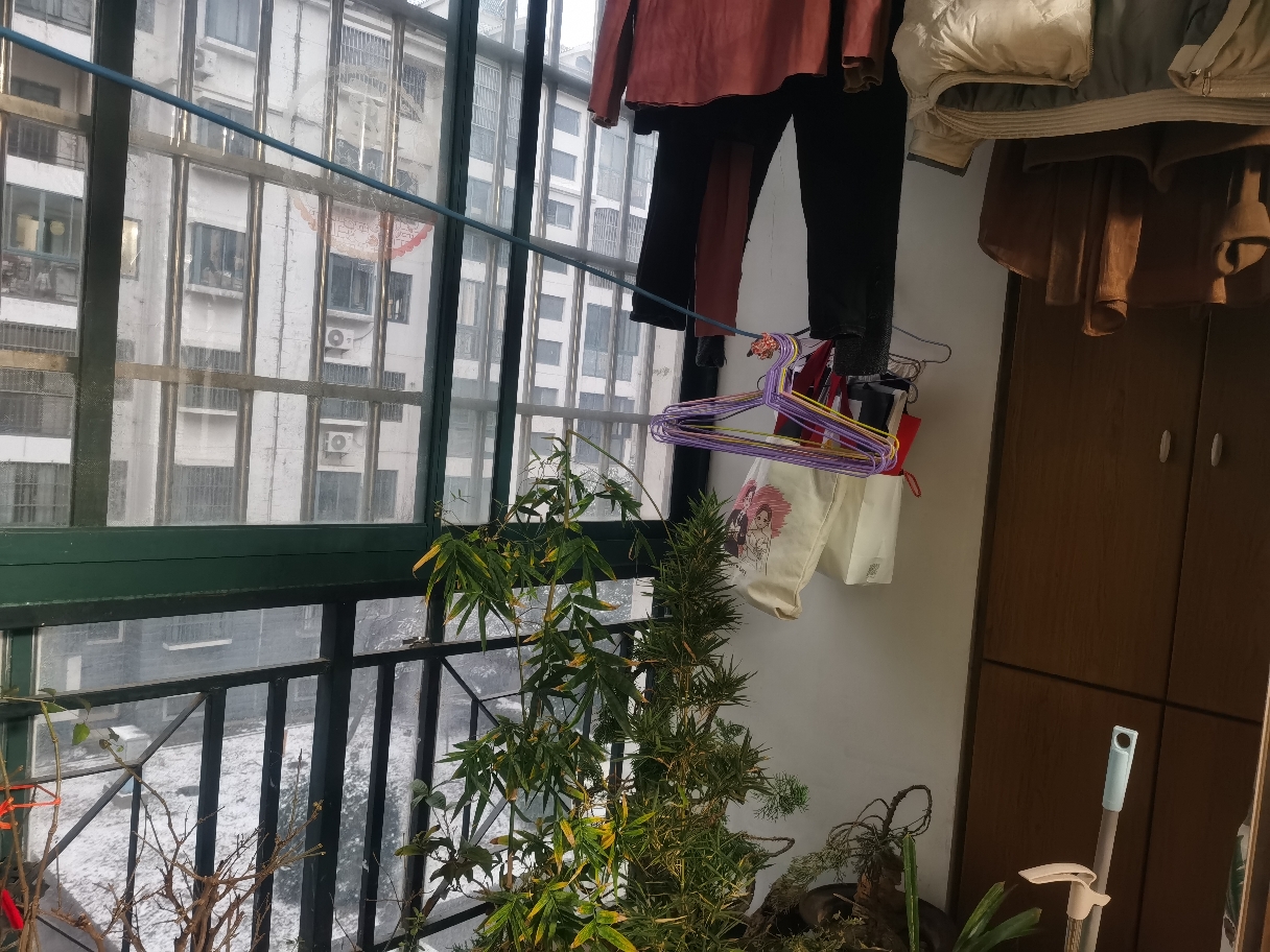精装修，拎包入住，房型正，采光好，两室两厅_9
