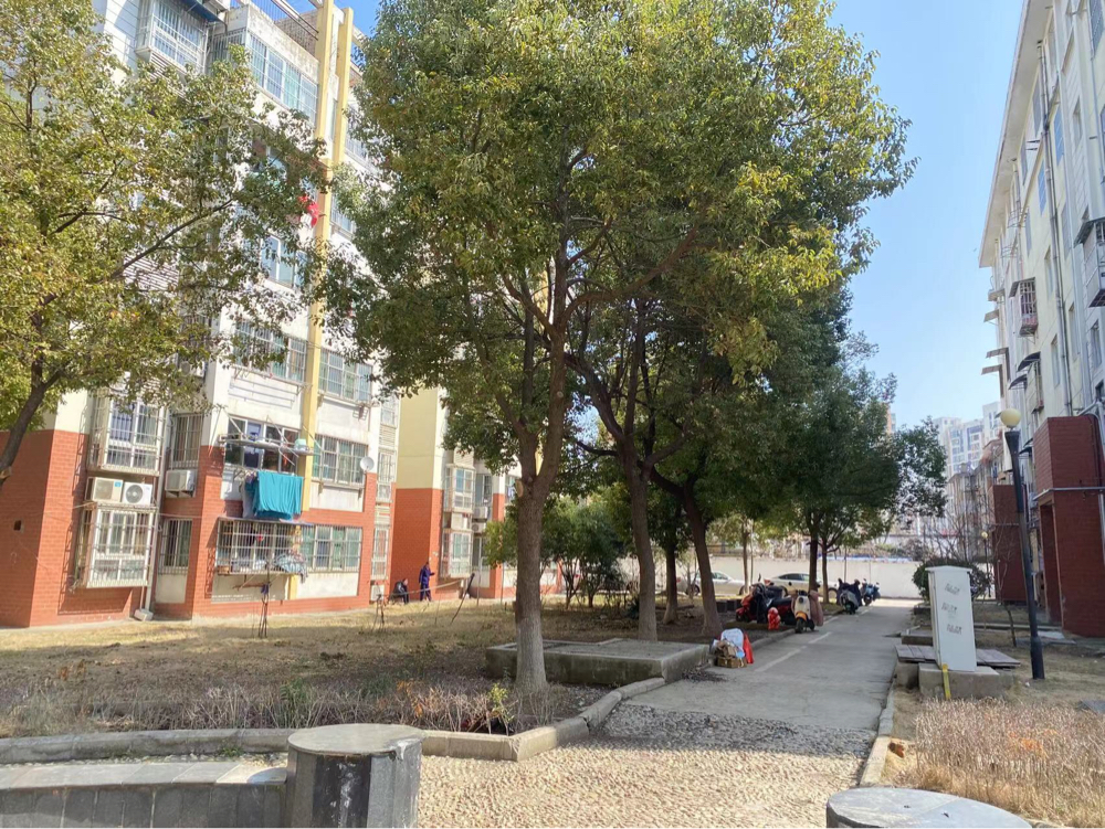 出租 玉露苑六幺七 简装 约98平方 楼下三室一厅 有洗衣机 冰箱 空调 太阳能 拎包入住 一年起租_14