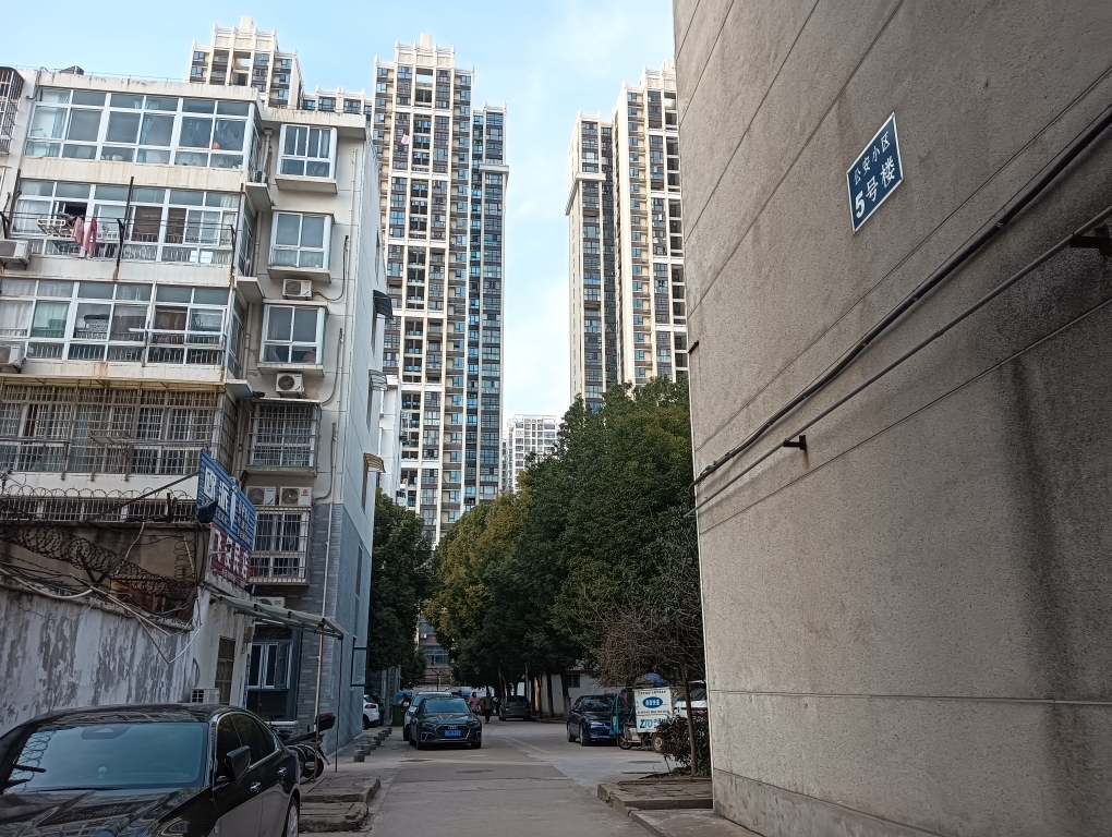 3室两厅_16