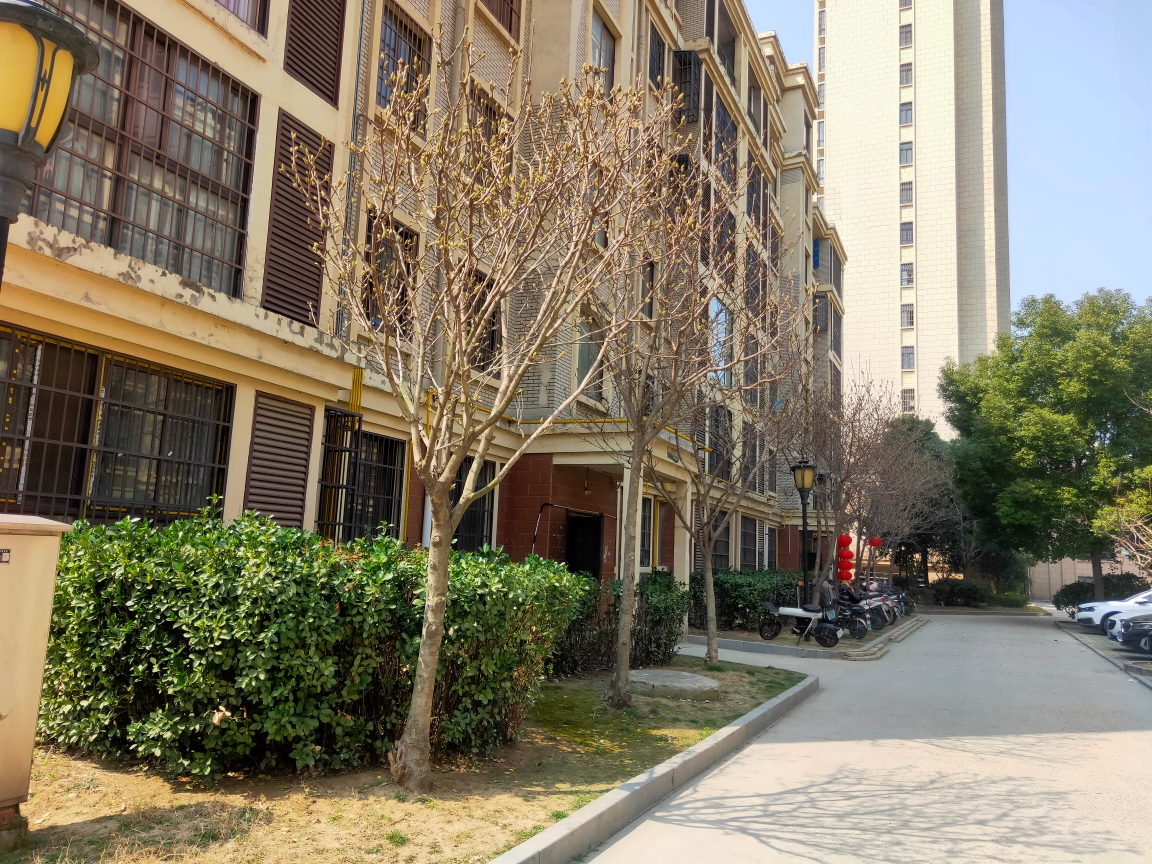 宝辰花园6 跃7_12