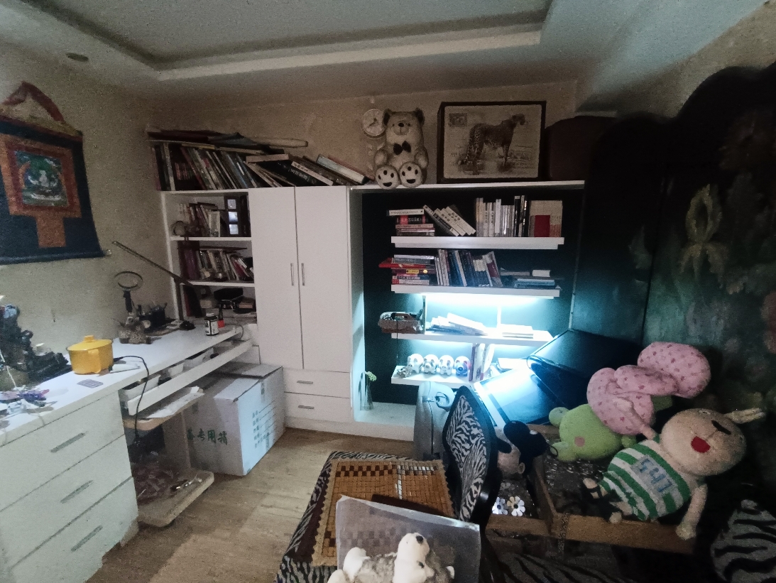 龙湖路一号上下复式房 精装 两室两厅好房急售_10