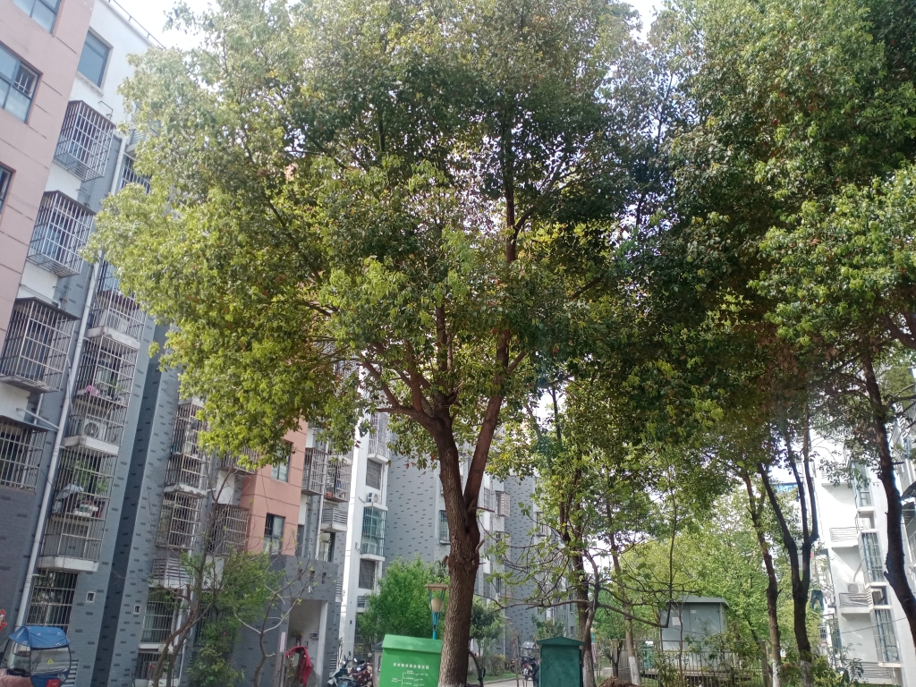 谢家集新村D区简装有证四层交通方便购物便捷_10