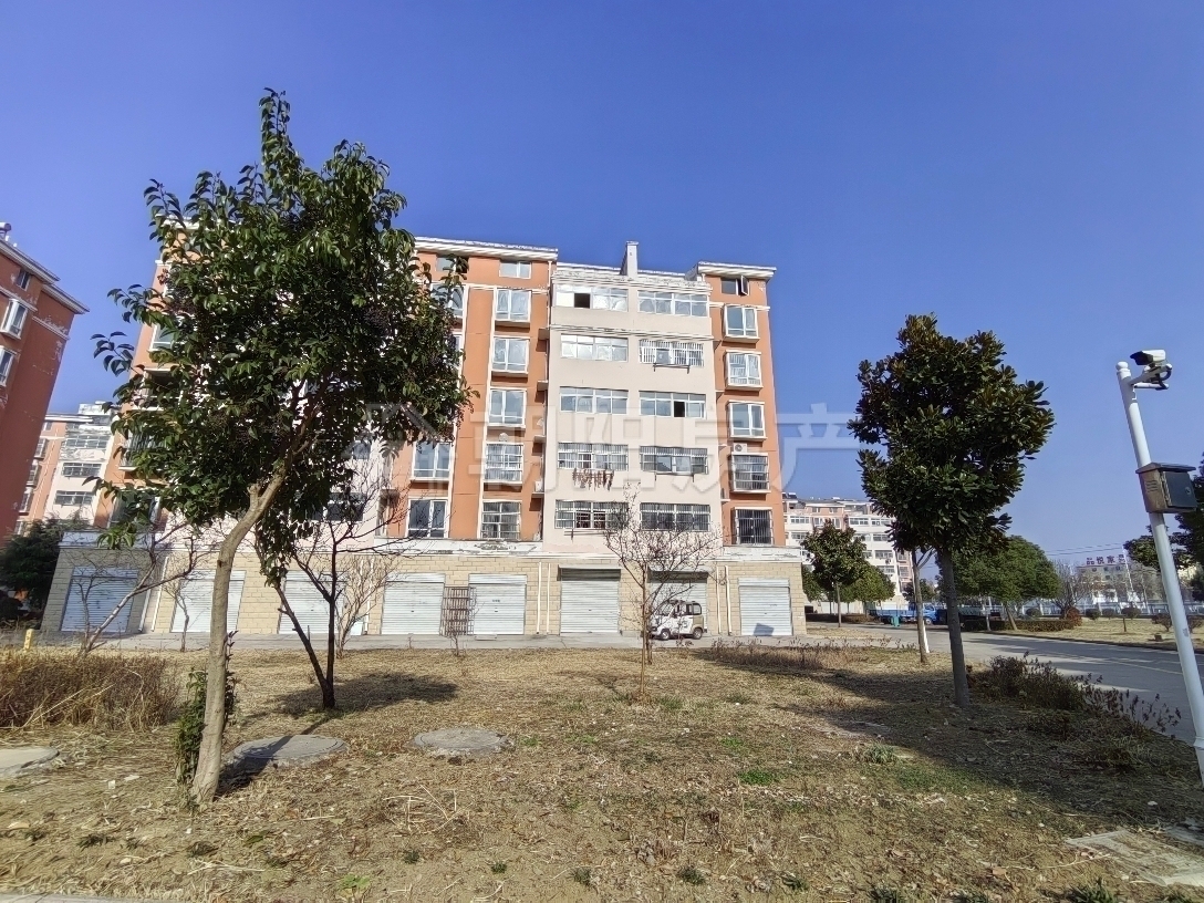 大庄新村 120平 三室两厅 采光好 随时看房_9
