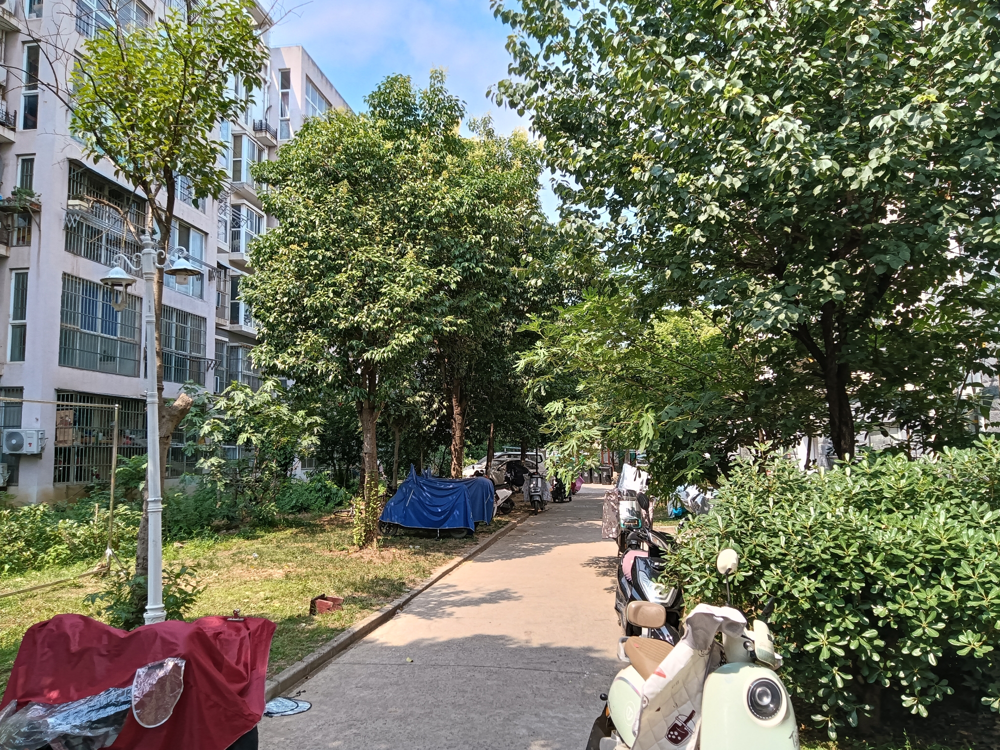 谢三村南区四小学区房_10