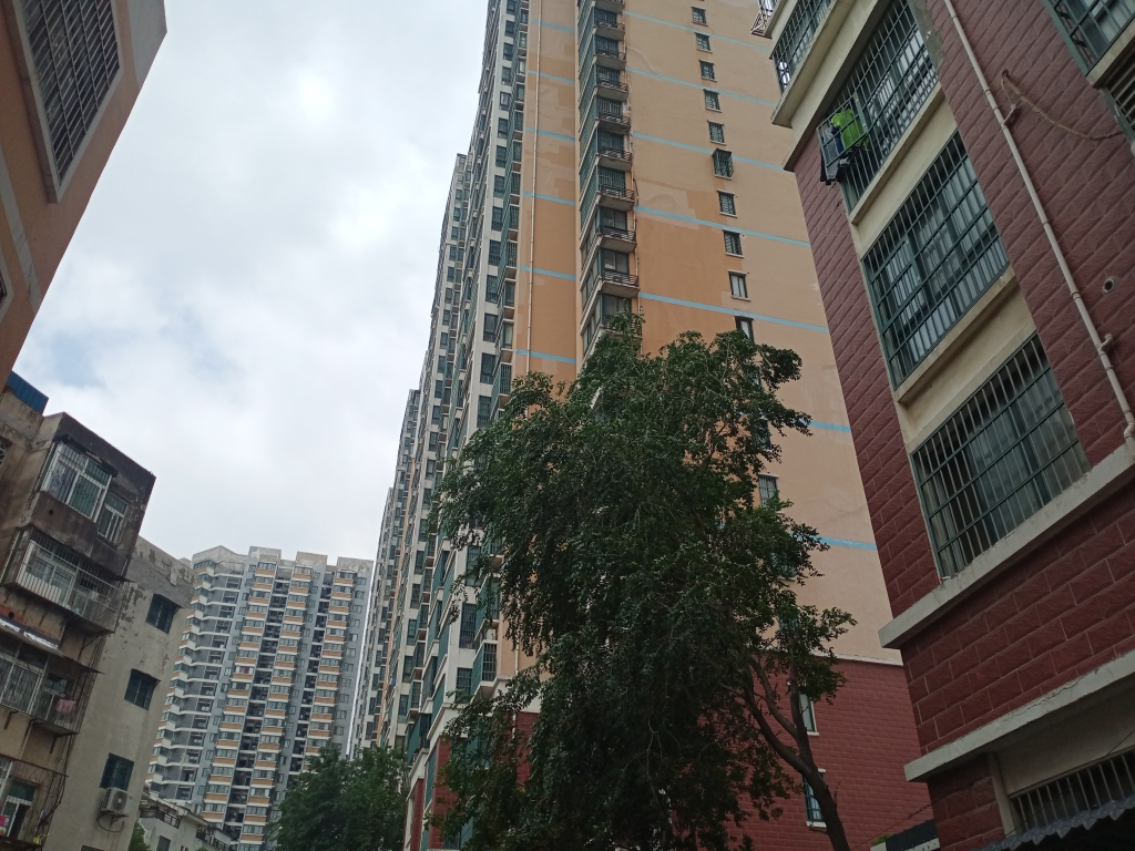 熙城春天采光好环境好_8