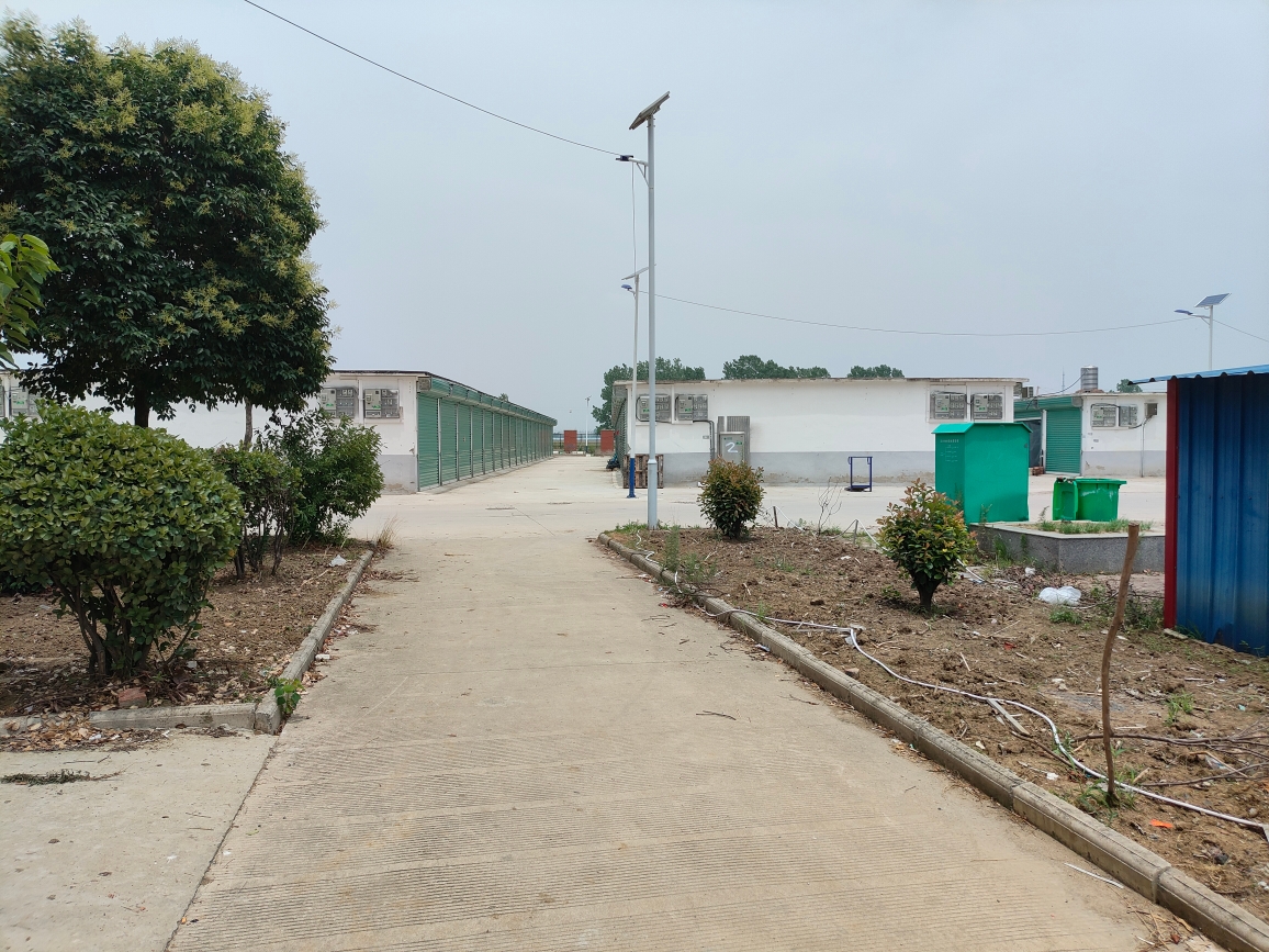 杨柳新村 105平 三室两厅 学区房 交通便利 毛坯房_10