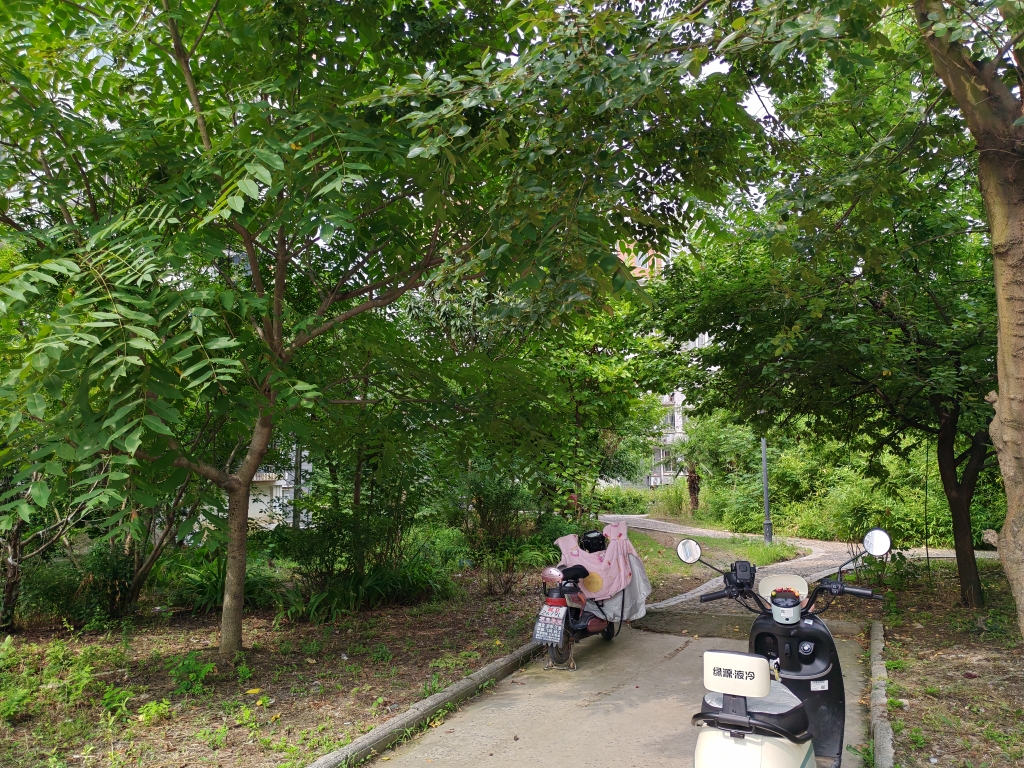 望北新村东区 75平 两室一厅 交通便利 采光好 普装出租_8