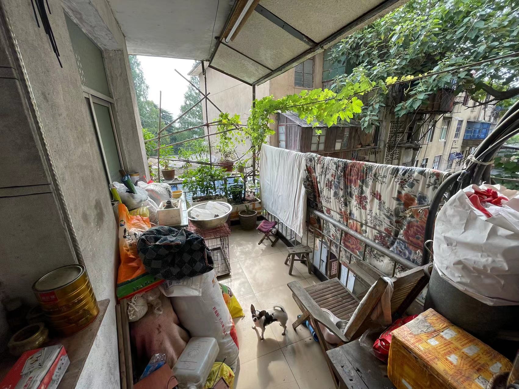 孔集街道新村 56平 两室一厅 交通便利 满两年 简装好房_10