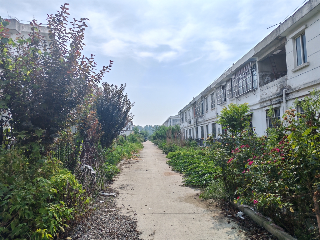 永青新村 别墅 5室3厅 简装 诚心出售_14