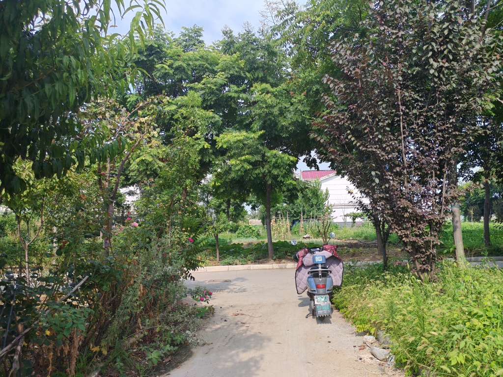 永青新村 别墅 5室3厅 简装 诚心出售_12