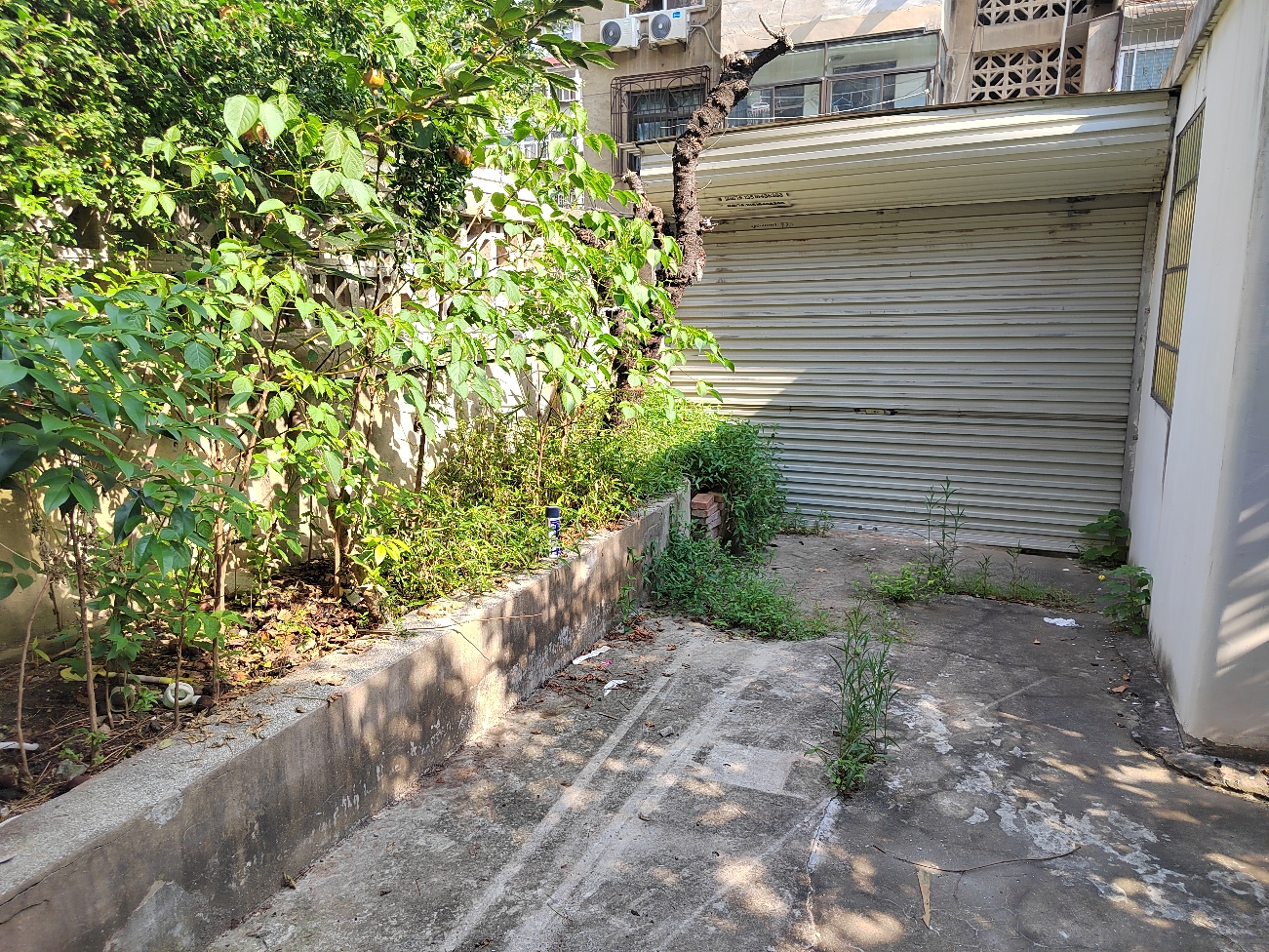淮师附小实验中学洞山工行家属楼一楼含前后60平方大院子及自建房三房精装出售_15