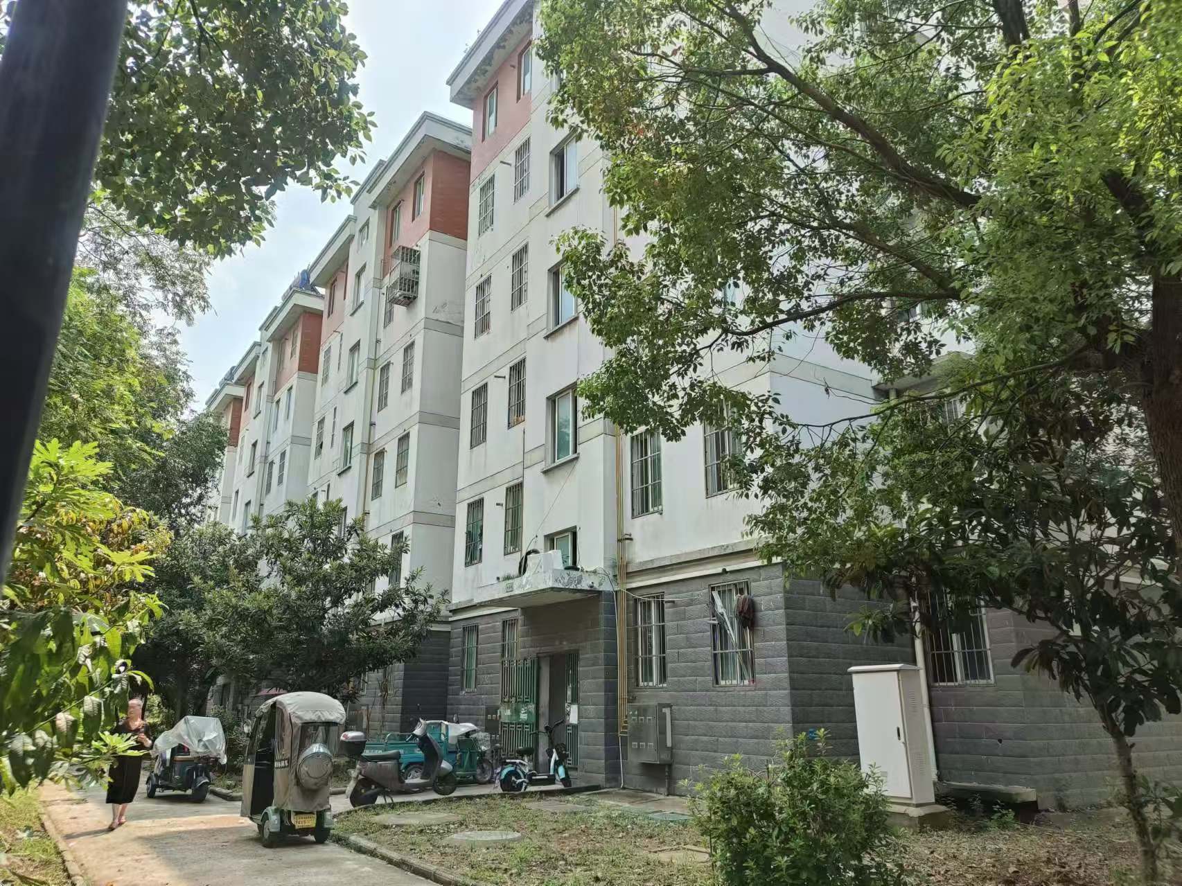望北新村西区 69平 两室一厅 交通便利 满两年 简装出售_10