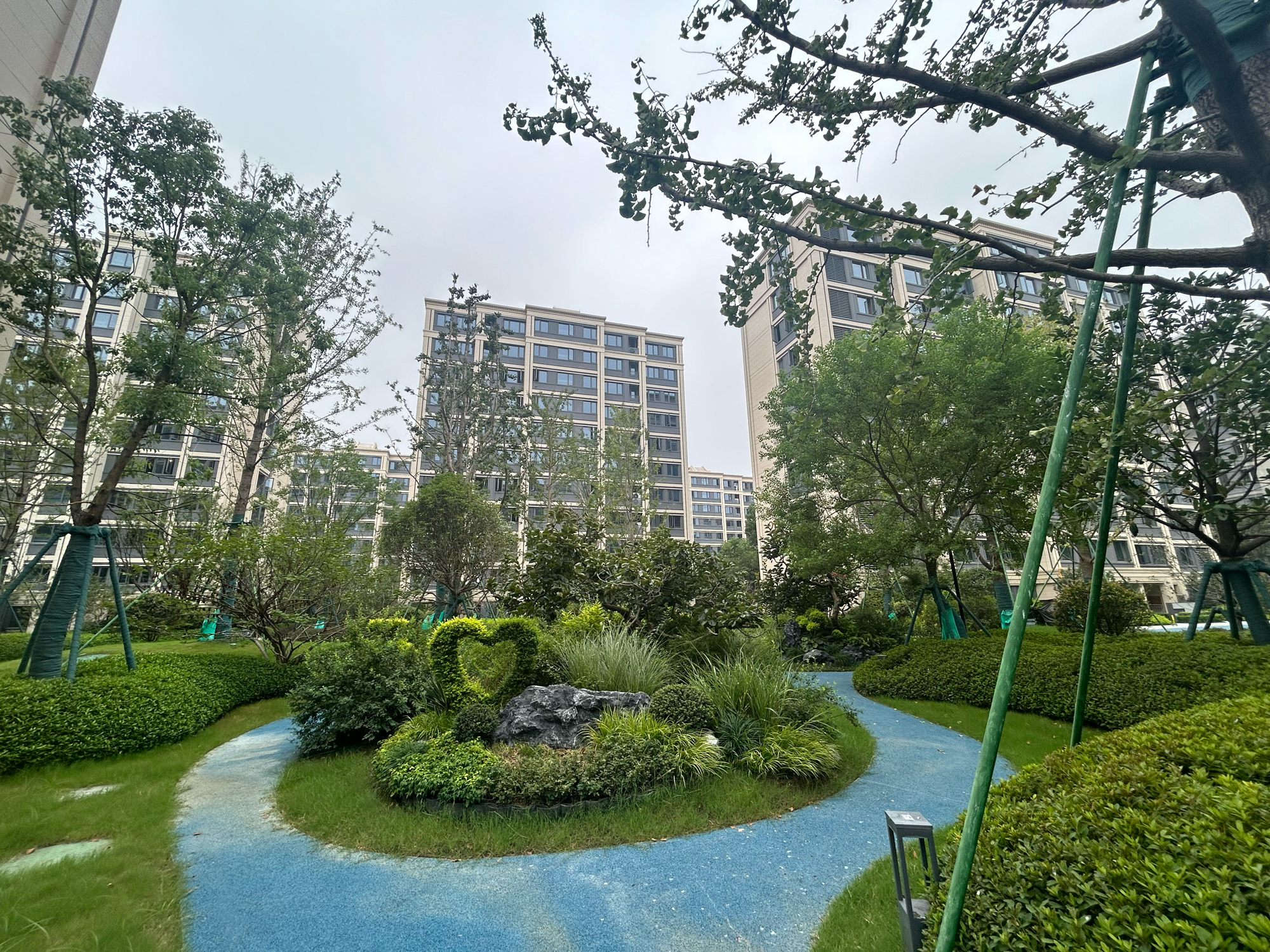 绿城明月山南毛坯四室洋房诚心出售_11