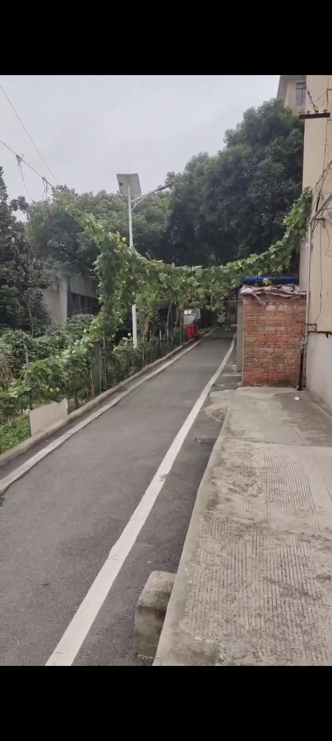 建井新村好房出售_11