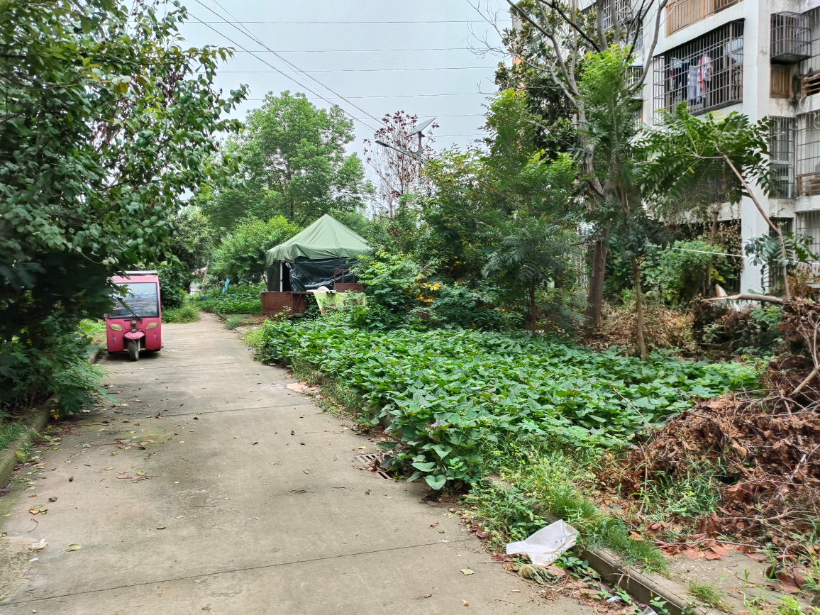 祥苑社区精装三室两厅_12