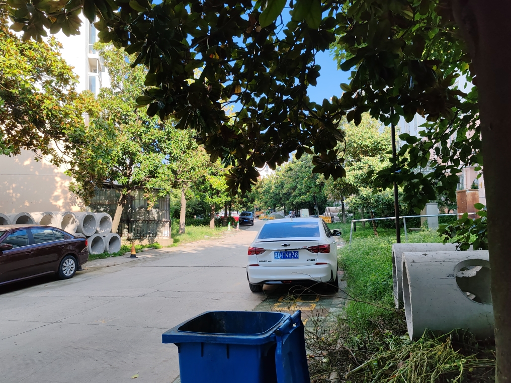 选煤村老楼 2层 两室一厅 简装出售 地势好 楼层低 适合养老_11