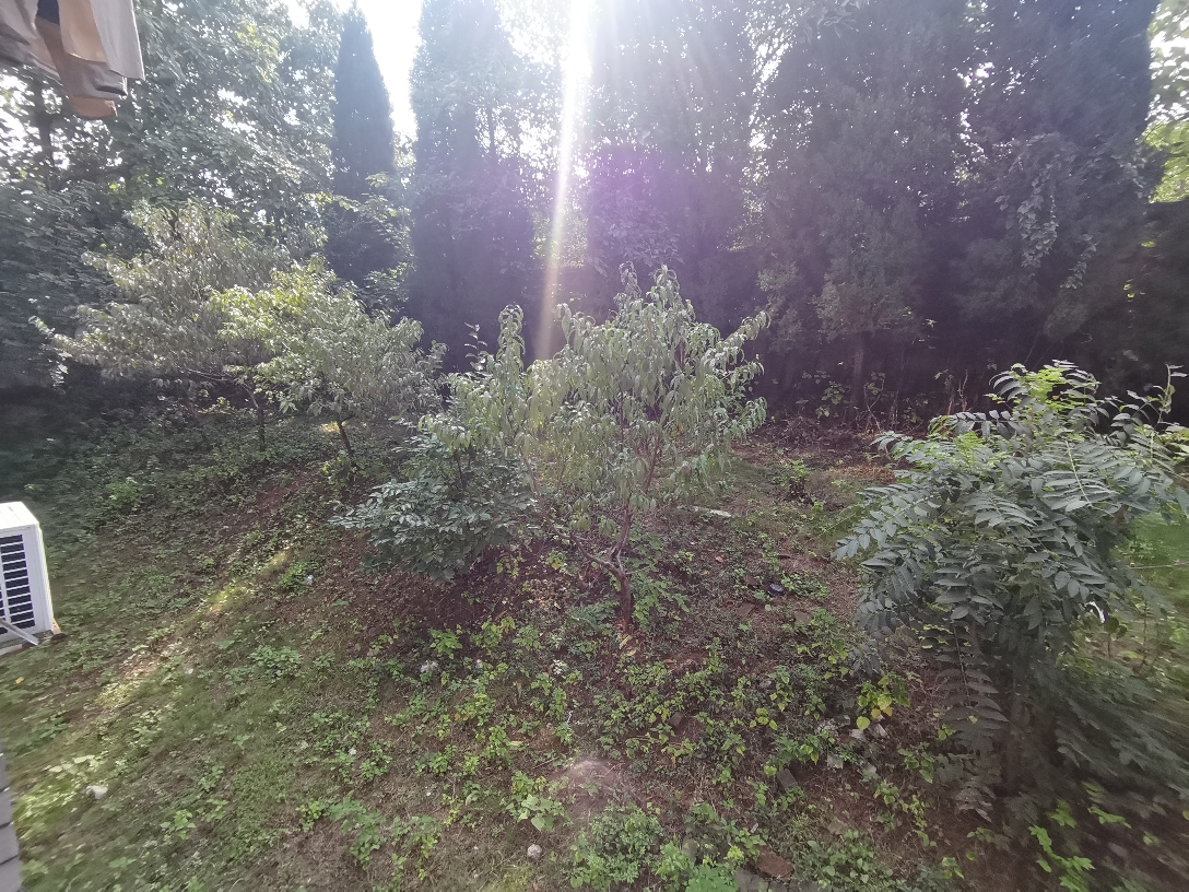 南山村四室两厅两卫精装未住出售_18