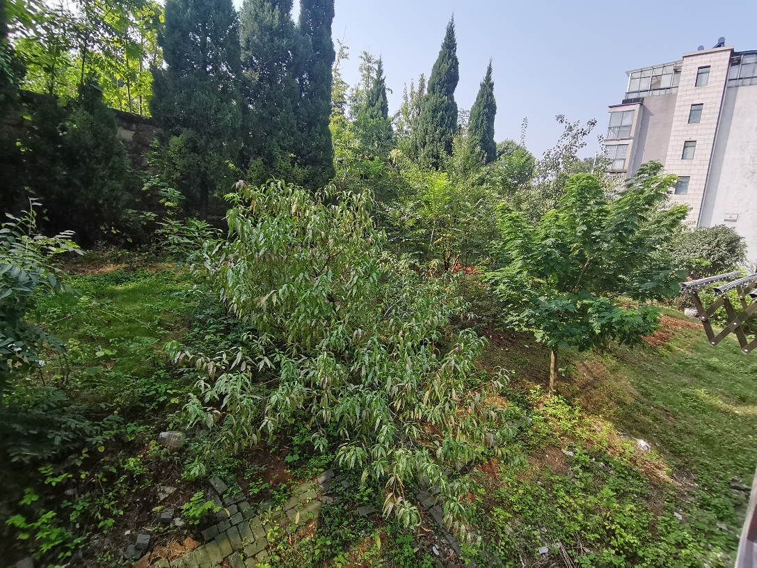 南山村四室两厅两卫精装未住出售_5