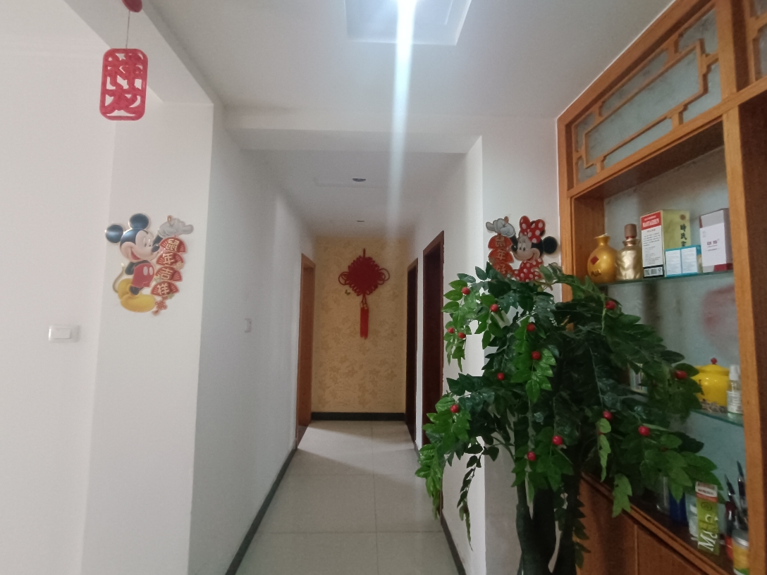 衡安花苑，3是2厅，简装出售。_10