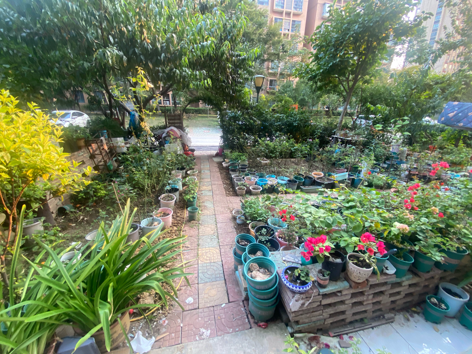房阳光国际城西区 3室一楼带花园院子_11