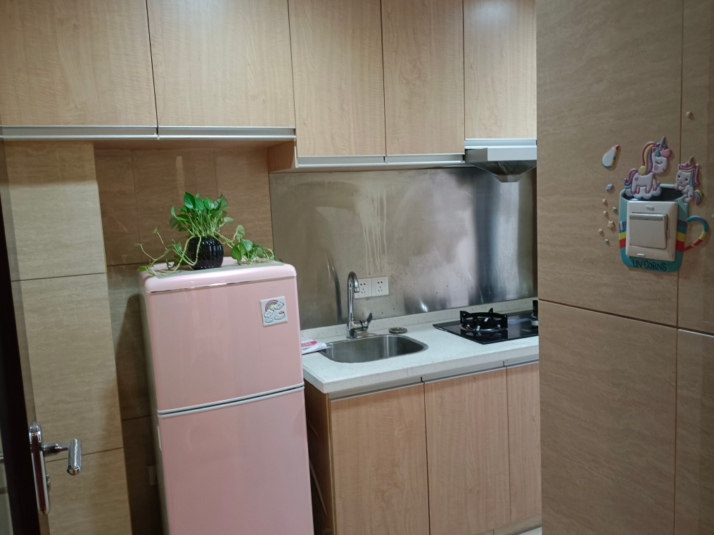 圣地星座公寓精装修家具家电齐全拎包入住看房方便1200包物业包宽带有燃气_4