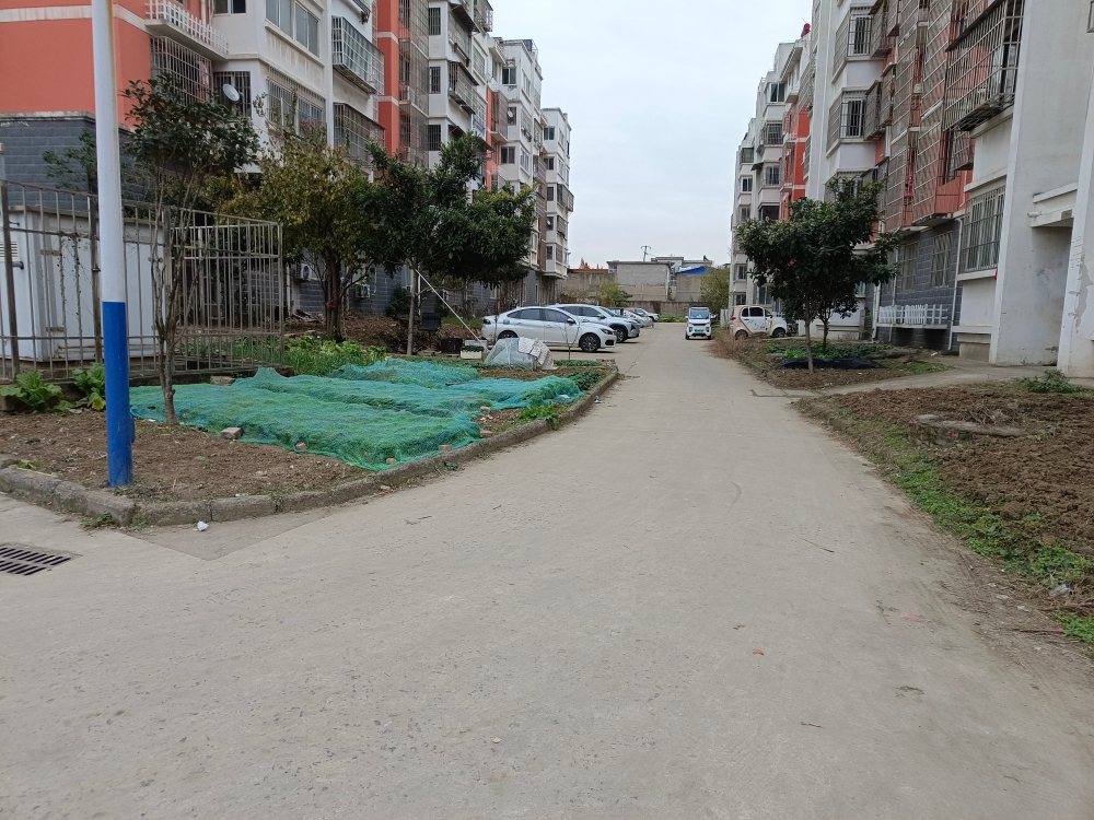 谢家集区望峰岗永青新村3室2厅学区谢六中_10