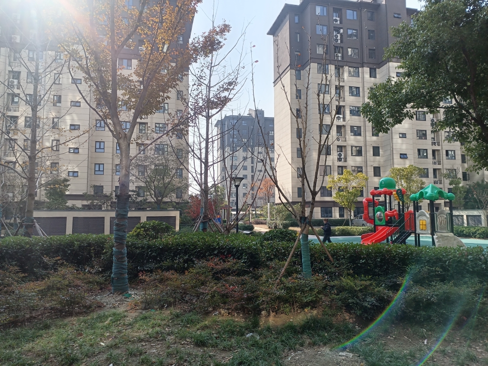 循理新家园    毛坯房  一楼养老房   学区房_7